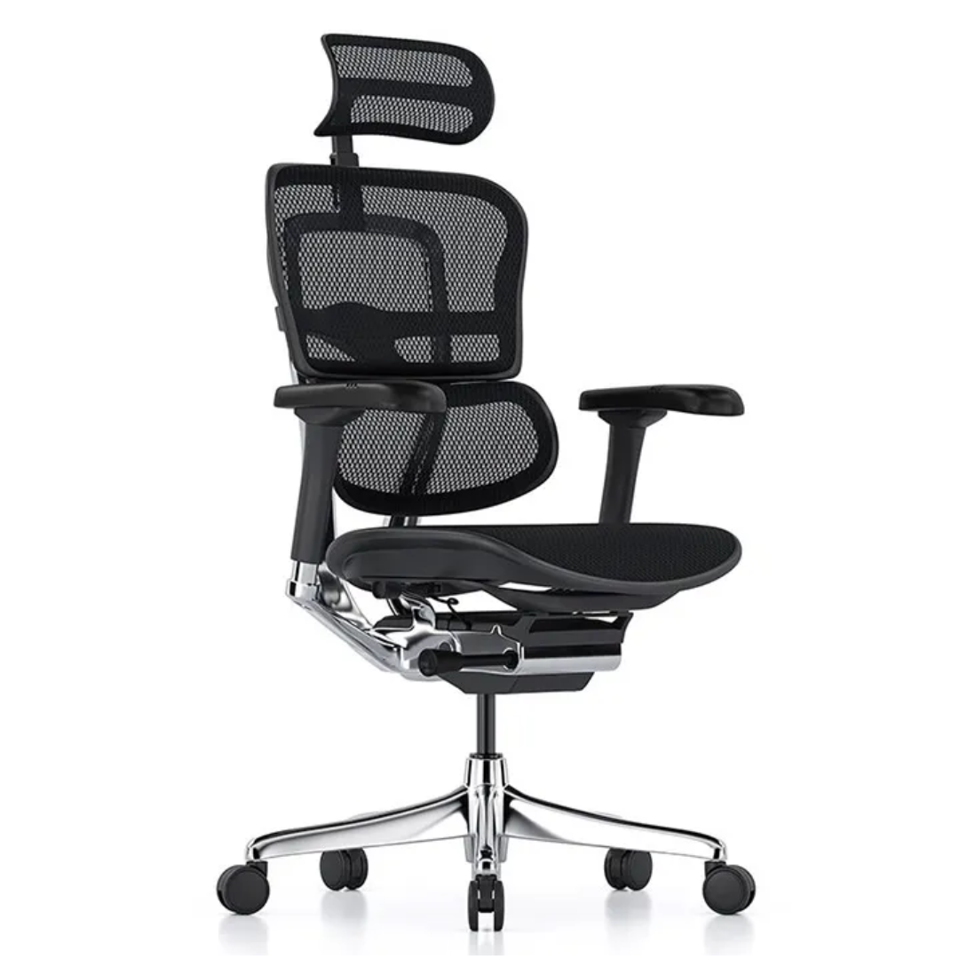 Silla Gerencial Ergohuman RE-9100/NG - Imagen 5